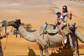 The shelter for the camels should be constructed in such a way that it protects the camels from direct wind, pests and predators. Camel Rides Camel Park Sunny Beach