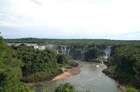 Conforma la selva subtropical húmeda que cubre la cuenca alta de los ríos paraná y uruguay, en el sur de brasil, este del paraguay y el extremo noreste de la argentina. La Selva Misionera O Paranaense Elblogverde Com