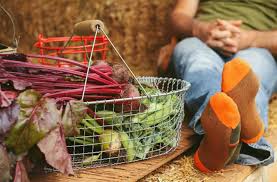 Maybe you would like to learn more about one of these? Best Garden Tools Gear Gifts For Gardeners Joe Gardener