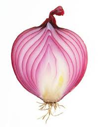 Allium Cepa Fruits Et Legumes Salade De Concombre Asiatique Legumes Racines