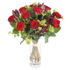 Safari Sunset Calgary Flowers Delivery Christmas Flowers Flower Delivery Flowers