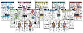 fitness posters co ed by bruce algra