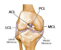 We did not find results for: Knee Joint Anatomy Motion Knee Pain Explained