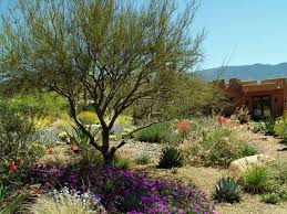 Xeriscaping for a water wise garden. Xeriscape