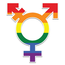 The transgender symbol is part of the gender symbols group. Transgender Symbol Lgbt Pride Etsy