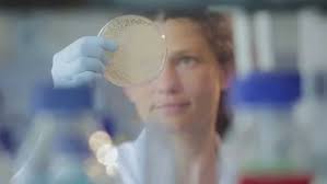 Prof. Dr. Ilse Denise Jacobsen, HKI