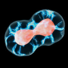 Check spelling or type a new query. What Is Meiosis Live Science