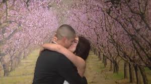 Dozens Get Married On Valentine S Day At The Fresno County Clerk S Office Youtube