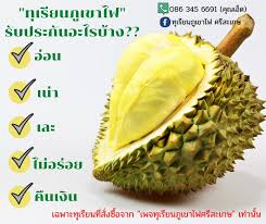 หน้าแรก > ท่องเที่ยวในประเทศ > เทศกาลทุเรียนภูเขาไฟ tags: à¸— à¹€à¸£ à¸¢à¸™à¸  à¹€à¸‚à¸²à¹„à¸Ÿ à¸¨à¸£ à¸ªà¸°à¹€à¸à¸© Fotos Facebook