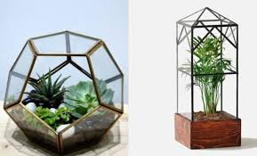 Berikut lima rekomendasi tanaman untuk meja kerjamu. 10 Ide Desain Terrarium Taman Mini Cocok Untuk Meja Kerja Dailysia