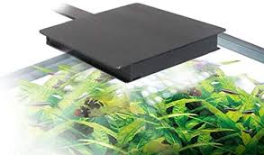 Amazon Com Hagen Fluval Plant Bluetooth Nano Led Aquarium Light 15 Watt Pet Supplies