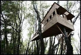 Triangular Tree House Tree House House Styles Tree