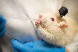 What about those electromagnetic repellers i see on tv? Brain Implant Wikipedia