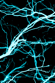 Maybe you would like to learn more about one of these? Free Handy 4k Wallpaper Handy 4k Wallpaper Download Wallpaperuse 1