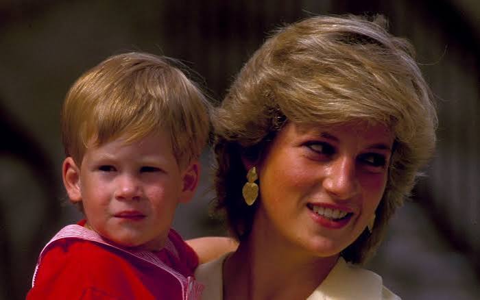 Hoàng tử Harry làm phim về Công nương Diana | Znews.vn