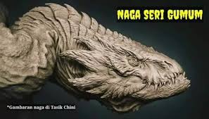 Pertapaan selama ratusan tahun itu akan berakhir setelah sisik naga bertukar menjadi keemasan. Lockluck Naga Tasik Chini Sumber Maklumat Yang Facebook