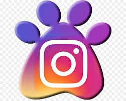 Check spelling or type a new query. Instagram Logo