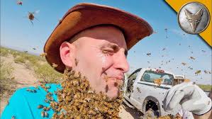 Bee Beard GONE WRONG!