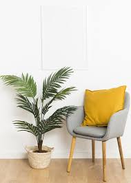Download Decorative Plant With Empty Frame And Chair For Free Art Mural Imprimable Decoration De Murs Moderne Photos Gratuites
