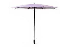 Image result for Dewevrella