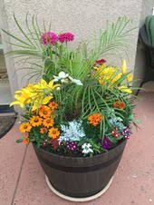 Free shipping on orders over $25 shipped by amazon. Costco Pot W Perinial Flowers Outdoor Flowers Flower Pots Outdoor Patio Flower Pots