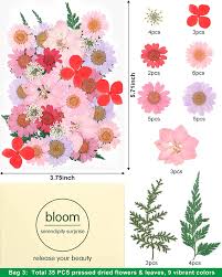 We did not find results for: Buy Ifancer Dried Pressed Flowers For Resin Small Real Pressed Flowers Natural Dry Leaves Bulk For Scrapbooking Resin Jewelry Card Candle Making Diy Art Crafts 105 Pcs 28 Colors Online In Vietnam B08nvnnv4q