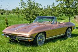 Image result for Tan 1964 Fleet