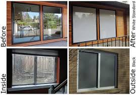 Collidescape Tinted Both Standard White And Black To Prevent Birds From Flying Into Windows Pass It On Safe A Bird S Life Birds Flying Into Windows Windows Bird Strike