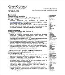 professional web developer resume