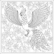 So here are some coloring pages to serve as line arts. Exotic Birds Coloring Pages Free Coloring Pages Name Landscape