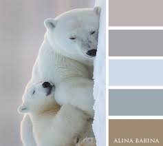 Pin By Mary Perlick On Jeux En Couleurs Grey Color Palette Polar Bear Color Paint Color Schemes