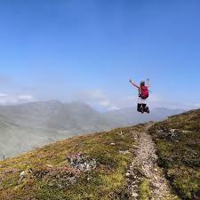 heilkrauter fur pferde die brennnessel tash horseexperience in 2020 pferde muskelaufbau pferd pferd