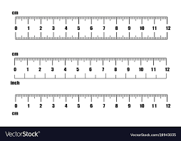 Inch and metric rulers centimeters and inches Vector Image
