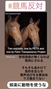Learn about 汉语教程 with free interactive flashcards. ç«¶èµ°é¦¬99 æ®ºå‡¦åˆ† å¥åº·ç®¡ç†ã‚«ãƒ©ãƒ€ã‚«ãƒ©ãƒŽãƒ¼ãƒˆ