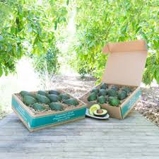 Image result for Dark Avocado 1972 Philco