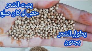 سبحان الله مكون معجزة ينبت الشعر حتى لو كان صلع ويوقف التساقط في الحين يطول الشعر بجنون ويملأ Youtube Beauty Care Wisdom Quotes Life Grow Hair