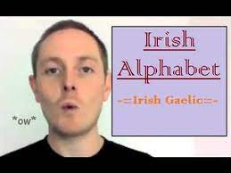 He looked at her with raised eyebrows la miró asombrado or sorprendido. 15 Irish Gaelic Language Ideas Irish Gaelic Gaelic Irish Gaelic Language
