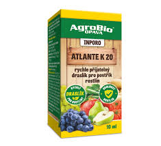 Image result for rez rzivost ostru%u017Einy