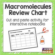 Macromolecules Chart Worksheets Teaching Resources Tpt