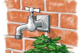 Wir haben nachgesehen und das ventil war entweder nicht ganz geschlossen oder hatte sich geöffnet. Smart Garden So Funktioniert Die Automatische Bewasserung Selbermachen De