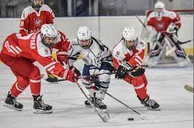 Elle Hartje 2020 21 Women S Ice Hockey Yale University