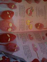 Cooking Challenge Christmas Mice