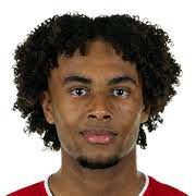 62 zirkzee st 73 pac. Joshua Zirkzee Fifa 21 Rating And Potential Career Mode Fifacm