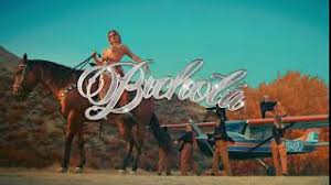 Karol g is making the rounds with bichota, a song which according to the colombian singer is a moment of power to those who listen to it, especially women. the term refers to a moment of feeling. Bichota Karol G Official Trailer Youtube