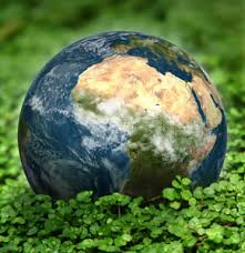 Image result for organisms and their environment