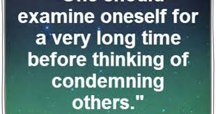 Don T Condemn Funny Pictures Quotes Funny