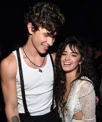 We did not find results for: Camila Cabello Shawn Mendes Got New Tattoos Together
