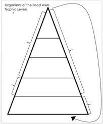 Generally, there are a maximum of four trophic levels. Trophic Levels Chart Trophic Level Chart Ecology Unit