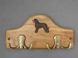 Image result for irský vodní španěl