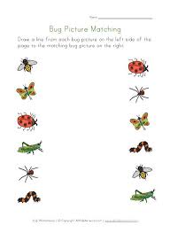 Jun Bugs Preschool Preschool Worksheets Kindergarten Worksheets Printable